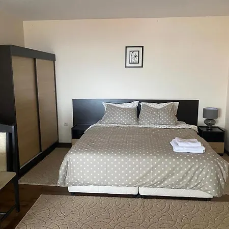 Comfortable And Affordable Big 公寓 班斯科